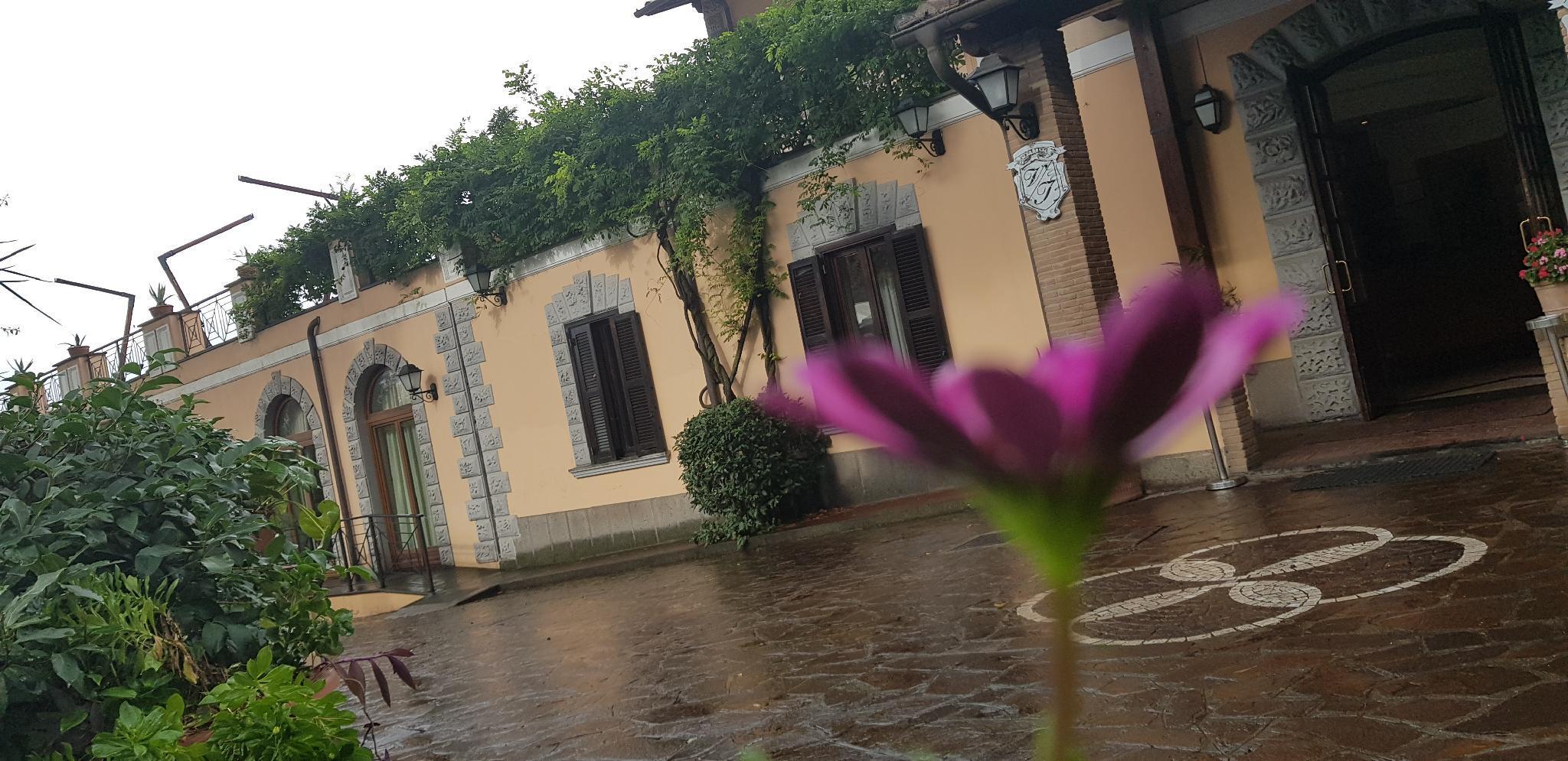 Villa Icidia Фраскаті Екстер'єр фото